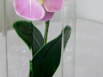 Vase glas 8-kantet 17 cm