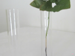 Vase glas enkelt blomst 18 cm